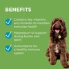 PAW By Blackmores Wellness + Vitality (For Dogs approx 60