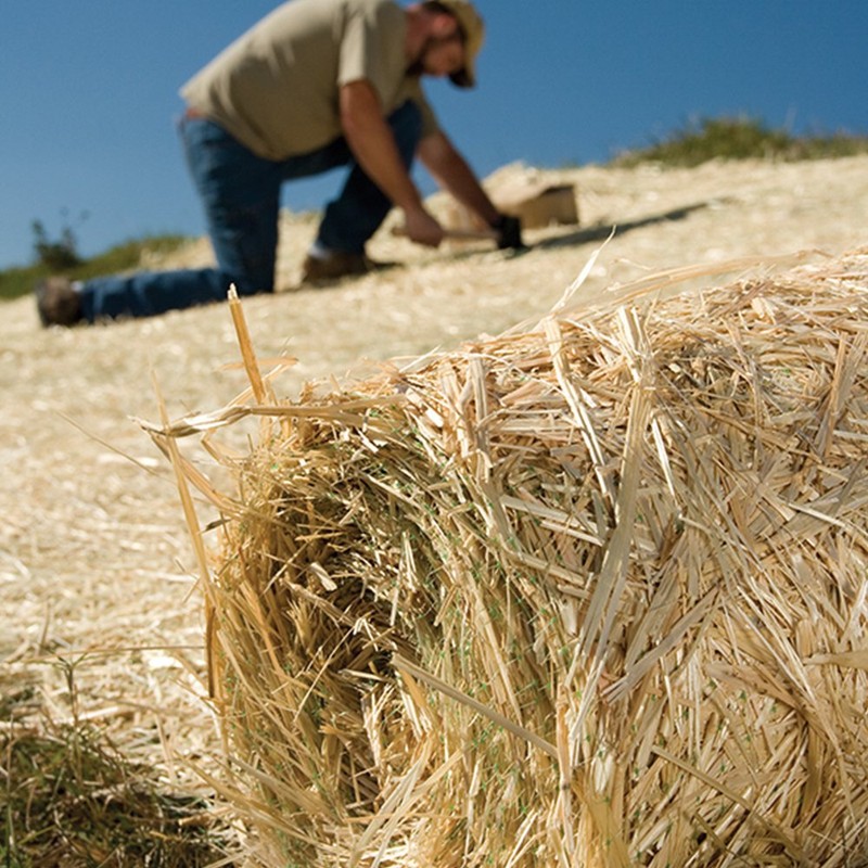Heavy Duty Garden Stakes - Stronger Holding Power vs Metal