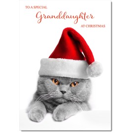 doodlecards Granddaughter Christmas Card Grey Cat with Santa Hat Medium Size Christmas Card for Granddaughter with Plain Envelope