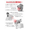 【腰専科】 腰サポーター 姿勢 調整 コルセット背中 二重構造 メッシュ 立ち仕事 デスクワーク 男女兼用