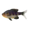 13 FISHING - The Gill - Swimbait - 5.25" -
