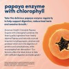 American Health Enzima De Papaya Con Clorofila 600 Tabletas