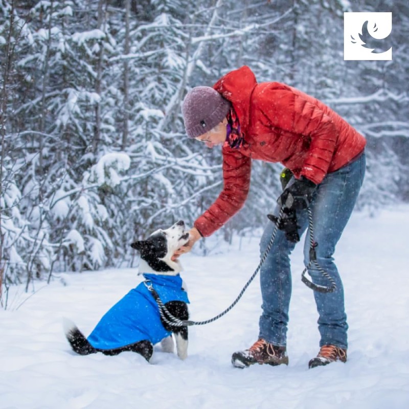 RC Pet Products Cascade Dog Coat, Essential All Weather Dog
