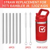 6-Pack Stainless Steel Straws for YETI Rambler Jr. 12oz Kids