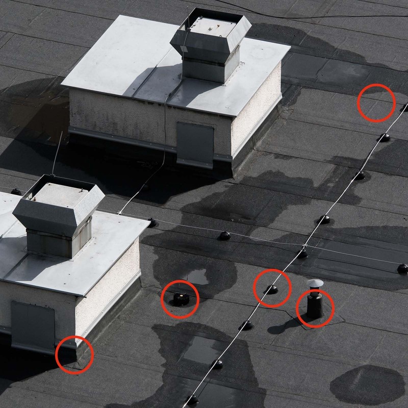 Pronova Bitumen Seal 300 ml Black