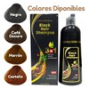 1pza - Shampoo Tinte Instantáneo Orgánico Natural Cubre Canas Cambia