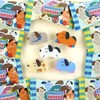 Pinkfoot Badugi Random Eraser Vol. 26 60 Pieces (Box) /