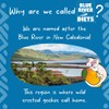 Blue River Diets Complete Crested Gecko Food | All Natural