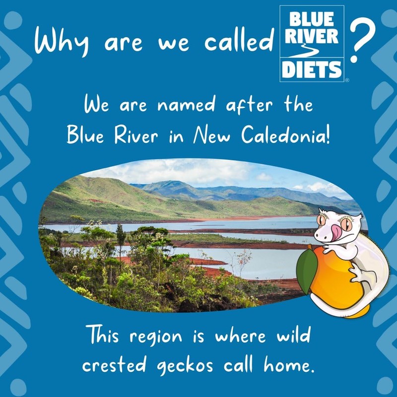 Blue River Diets Complete Crested Gecko Food | All Natural