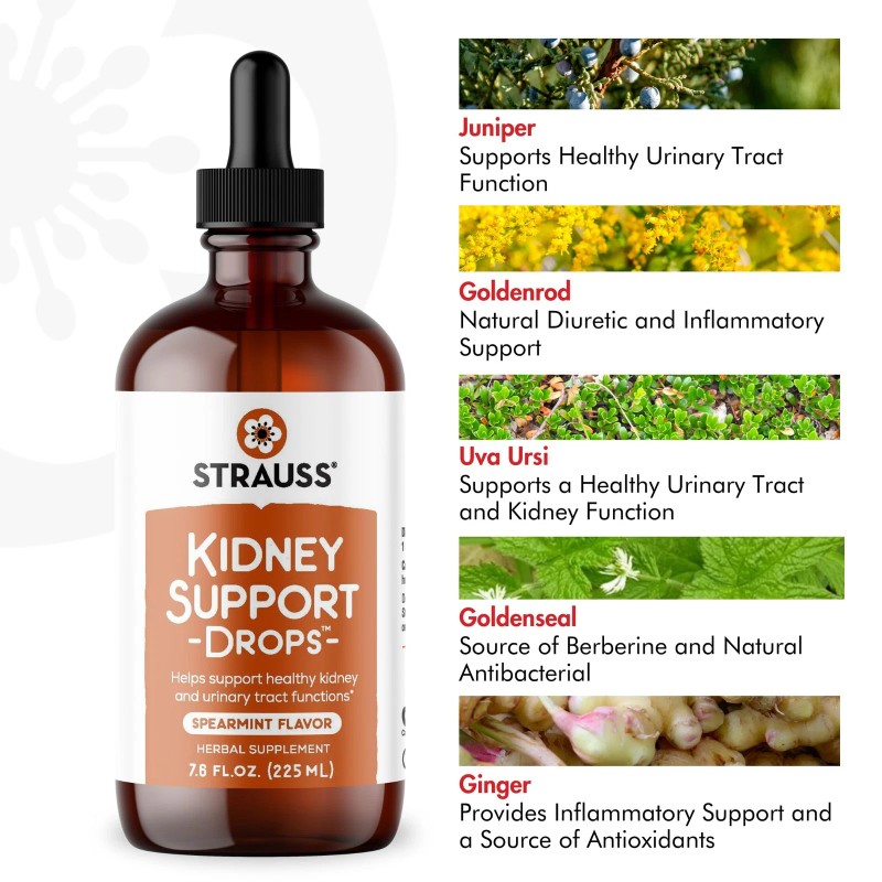 Strauss Naturals Kidney Support Drops – Herbal Kidney Support Supplement