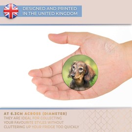 Destination Vinyl ltd Magnet for Refrigerator, Fridge - Cute Dachshund Puppy Face for Office, Cabinet and Whiteboard, Magnetic Stickers, 13268