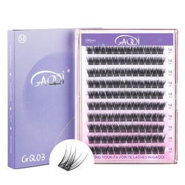 GAQQI Individual Lashes Cluster Lashes Clusters 120Pcs D Curl 14mm Lashes Diy Eyelash Extensions Soft Eyelashes Natural Look False Lashes At Home(GQ03-D 14mm)
