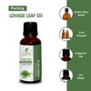 Sheer Essence Lovage Leaf Oil (Levisticum Officinalis) Essential Oil 100%