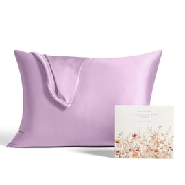 Softhour Silky Pillowcase Premium Satin Pillow Cases with Zipper Closure for Hair and Skin, Standard Size 20 x 26 Inches, Gifts for Women Men, Light Brown