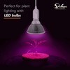 Simple Deluxe Hanging Lantern Extension Cord Cable, Plug-in E26 Pendant