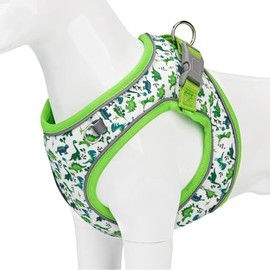 Dog Harness Small Sized Dog - No Pull Reflective Adjustable - Step-in for Small, Medium, Large Dogs & Cats- Easy Control, Comfortable Fit, and Leash Option for Walking and Training Green Dinosaur XS