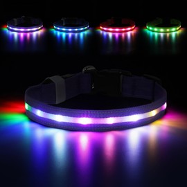 LED Dog Collar, Light Up Dog Collar, USB Rechargeable - Brightest Dog Lights for Night Walking, 6 Light Modes, Adjustable for Dog Safety(Medium, Purple)
