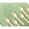 Efforias Pack of 100 Wooden Disposable Forks -Biodegradable & Plastic