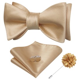 Dubulle Self Tie Bow Ties and Lapel Pin for Men Paisley Solid Mens Bowtie and Handkerchief Cufflinks Set Wedding,A Champagne