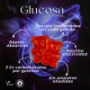 Gomitas De Glucosa De Acción Rápida Frasco Con 60 Sabor