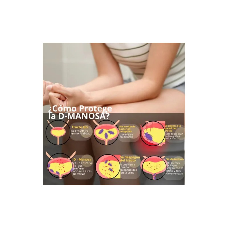 Suplemento En Cápsula Natural Smartnutrition Extracto De Arándano De Urinary