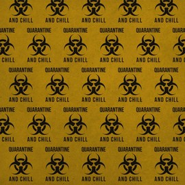 GRAPHICS & MORE Biohazard Quarantine and Chill Premium Kraft Roll Gift Wrap Wrapping Paper