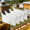 benefitbee 4pcs Langstroth Hive Bee Feeder - Dual Compartment 1.5L
