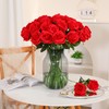Nubry 50pcs Artificial Silk Roses Bulk,Fake Roses Flower with Stems