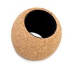 Vin Bouquet FIA 241 Cork wine ring. Wine ring manufactured