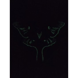 GLOW in DARK Embroidered Small 4” Inch IRON ON Green Luna Moth Patch Appliqué