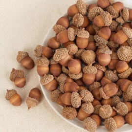 Unbranded Bulk Package of 150 Extremely Realistic Artificial Acorns