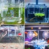 PINVNBY Acrylic Fish Breeding Box，Guppy breeding Box Acrylic Fish Isolation