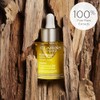 Santal Face Treatment Oil - Dry Skin by Clarins for