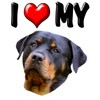 CafePress I Love My Rottweiler 2 Oval Car Bumper Sticker