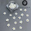 HaFloNa Set 30Pcs White 3D Flowers For Nails, Apricot Handmade