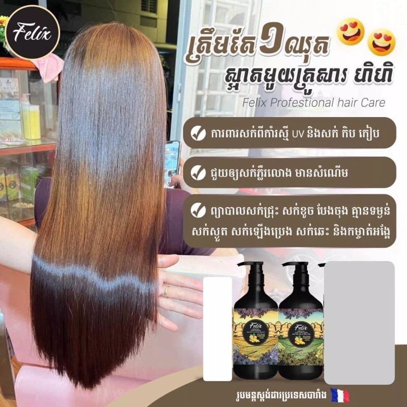 Felix 1 Set Felix Professional Hair Care ឈុតសាប៊ូកក់សក់