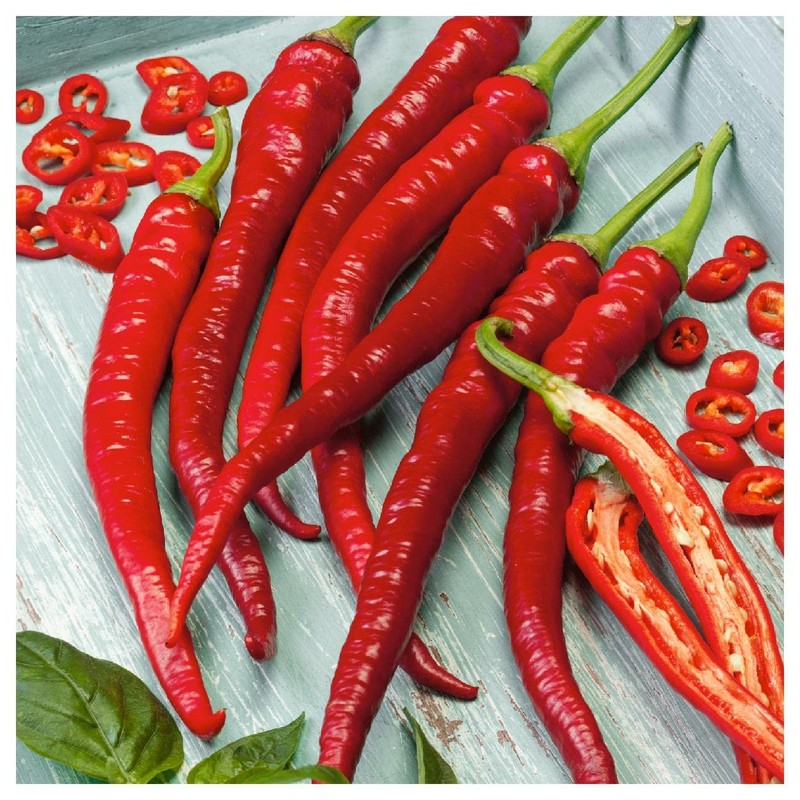 Everwilde Farms - 1/4 Lb Cayenne Long Red Hot Pepper