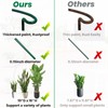 8 Pack Half Round Snake Plant Support Stakes Sets -