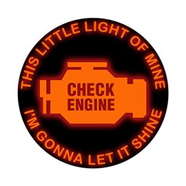 Applicable Pun This Little Light of Mine I'm Gonna let is Shine Check Engine - Vinyl Decal for Outdoor Use on Cars, ATV, Boats, Windows and More - Color 6 inch
