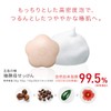 MTG Goto Camellia Yeast Soap, 2.1 oz (60 g), Soap,