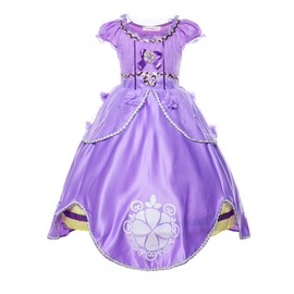 JerrisApparel Girls Princess Costume Floor Length Birthday Party Dress up (8, Purple with Accessories)