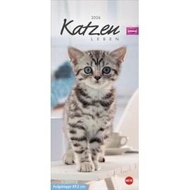 Whiskas Katzenleben Kalender 2026: Süße Kätzchen in allen Lebenslagen in einem Wandkalender zum Eintragen. Immer den Überblick über alle Termine mit dem praktischen Streifenkalender.