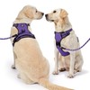 NESTROAD No Pull Dog Harness,Adjustable Oxford Dog Vest Harness with