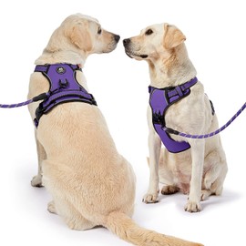 NESTROAD No Pull Dog Harness,Adjustable Oxford Dog Vest Harness with Leash,Reflective No-Choke Pet Harness with Easy Control Soft Handle for Small Medium Dogs(Medium,Purple)