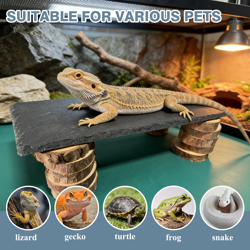 Bearded Dragon Basking Rock Platform with Wooden Pile,Natural Slate Stone