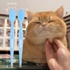 2PCS Pet Black Seed Brush for Cat Chin Acne &