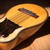 Mandolin Bridge Replacement Mandolin Bridge for Tone Adjustment Stringed Instrument