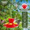 Plastic Hummingbird Feeders for Outdoors Hanging Ant and Bee Proof,