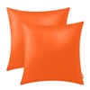 BRAWARM Faux Leather Throw Pillow Covers 16 X 16 Inches