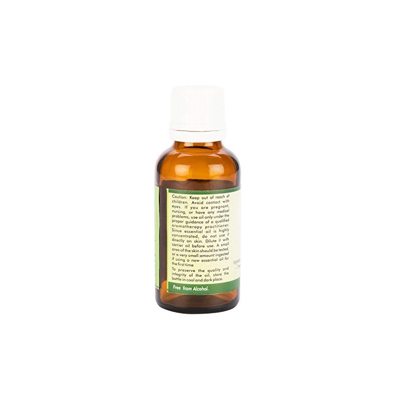 Betel Leaf Essential Oil | Piper Betle | Betel Leaf